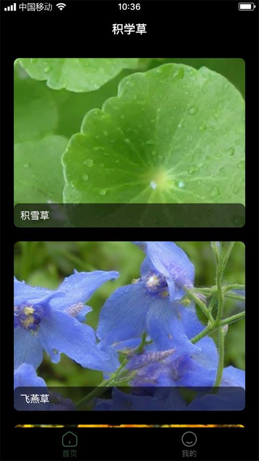 积学草手机版