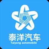 泰洋汽车官方正版