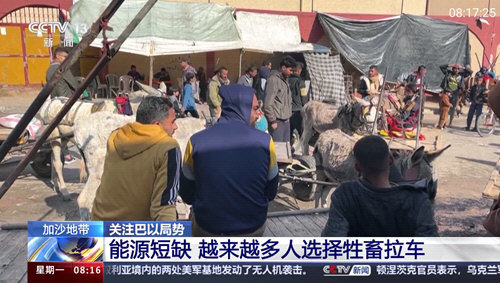 巴豆侠TV手机版图1