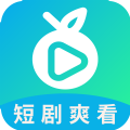 滨果大全安卓官方版