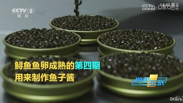 pn播放器通用版图1