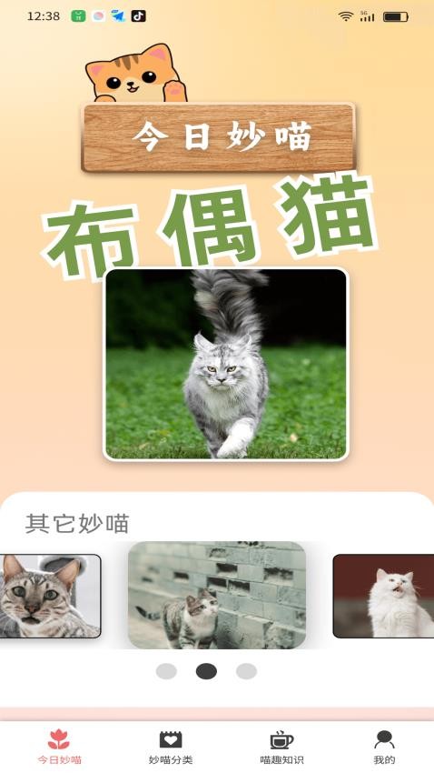 妙喵乐看直装版图3