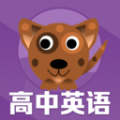 高中英语单词通手机免费版