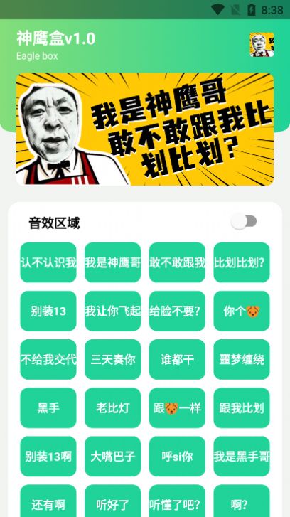 神鹰哥语音包手机最新版图3