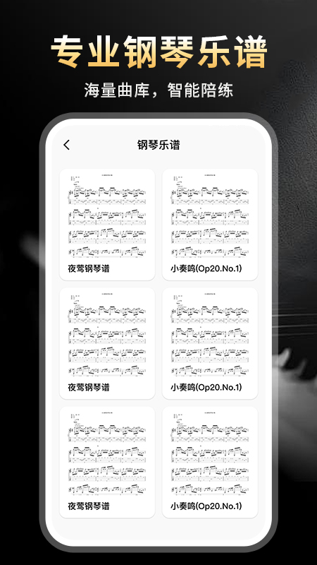完美节奏钢琴app(1)