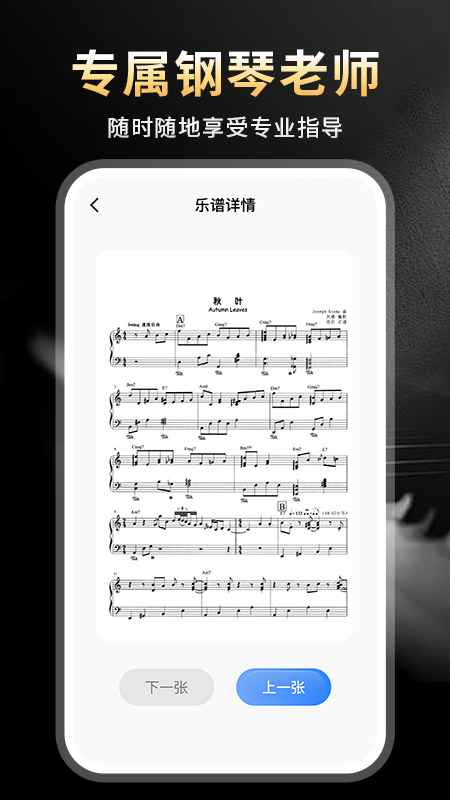 完美节奏钢琴app(2)