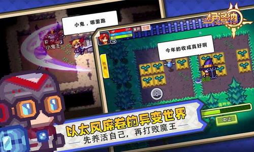 伊洛纳元宵节