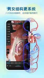 维萨里3d解剖app图2