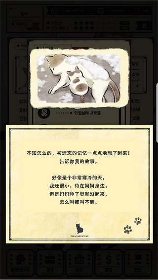 猫咪天堂官方最新版