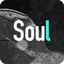 Soul国际版