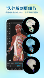 维萨里3d解剖app图1