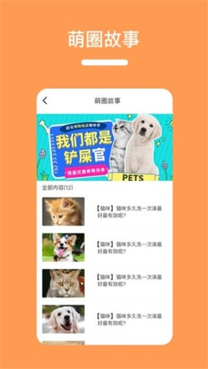 85御猫官方正版