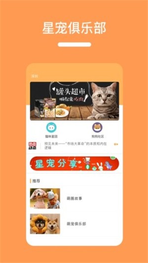 85御猫官方正版