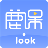 鹿课Look正版