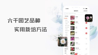 花信手机最新版图3