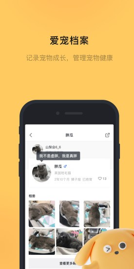 宠明手机版
