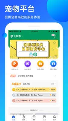 宠爱王国原版