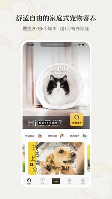 小狗在家原版图1