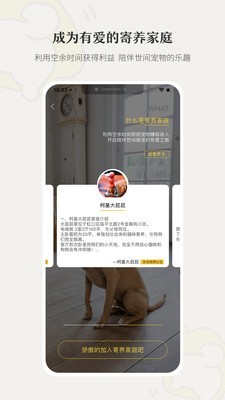 小狗在家原版图4