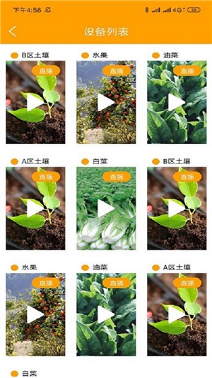春天农场最新版