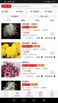 淘花缘官方最新版