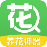 花百科原版