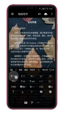 纯纯写作(1)