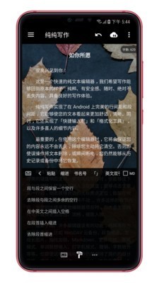 纯纯写作(3)