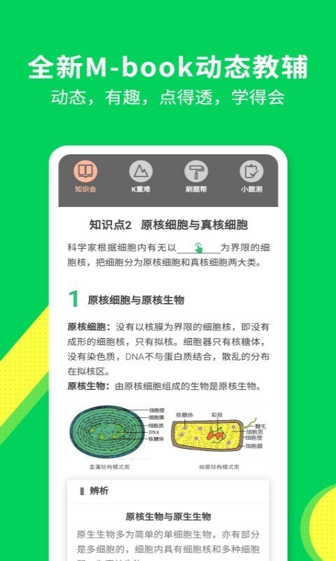 包学习最新免费版图3