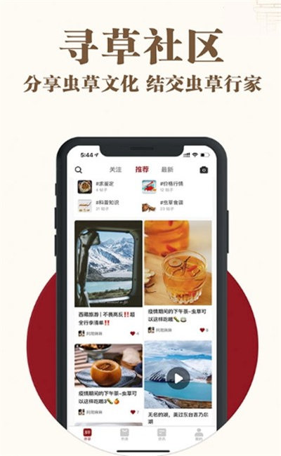 寻草免费原版