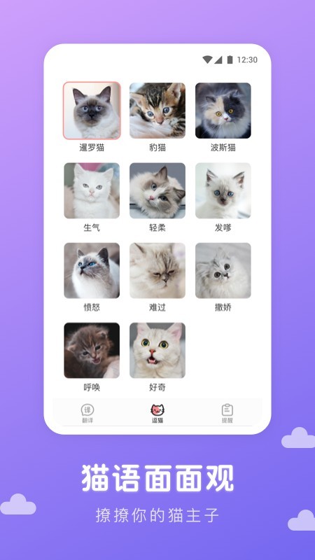 猫语翻译君无广告版
