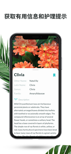 Plantnet图1