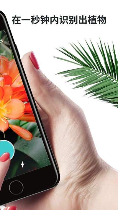 Plantnet图2