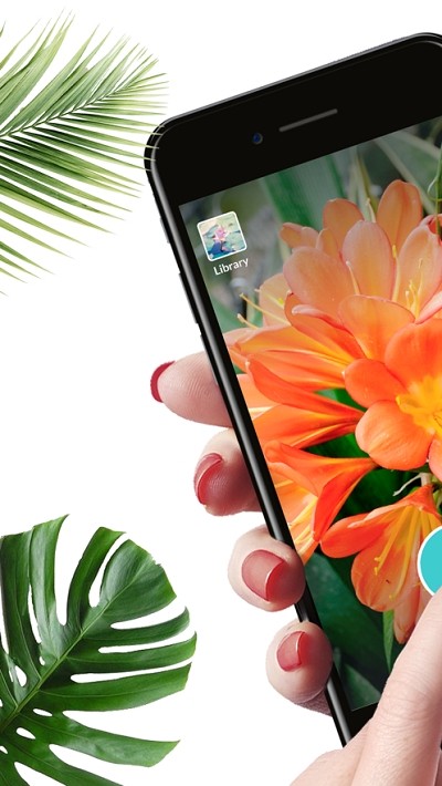 Plantnet图4
