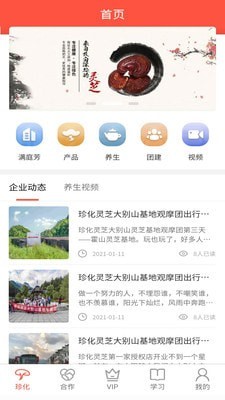 珍化灵芝图1