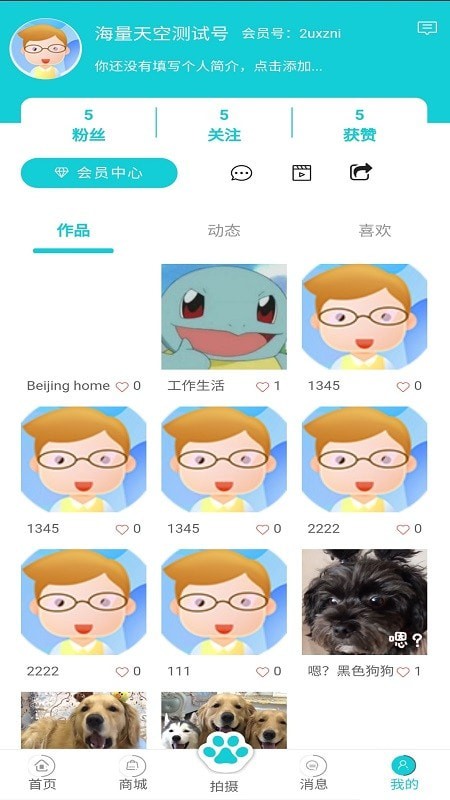 分分宠安卓官方版