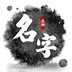 取名字大师原版