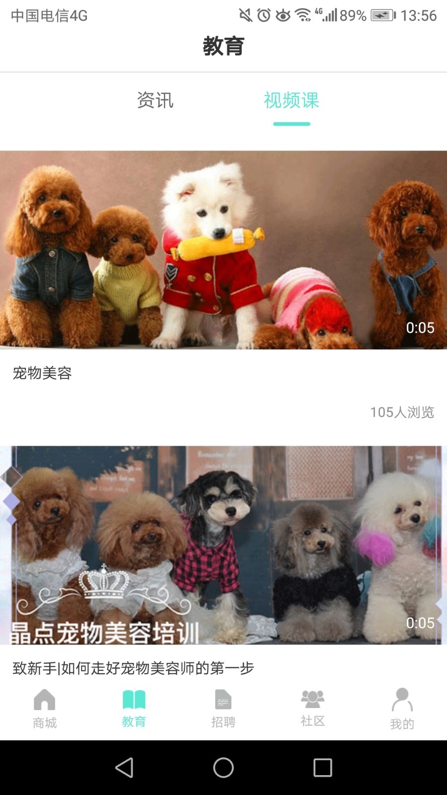 宠集宝官方版图1