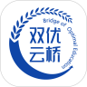 双优云桥直装版