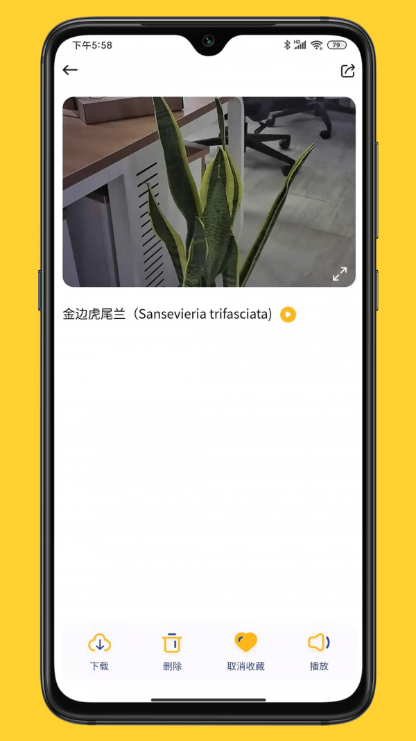 小mo乐园手机正版图4