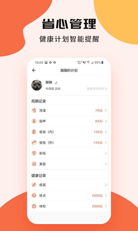 甜宠安卓直装版
