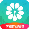学猿作业辅导帮官方正版