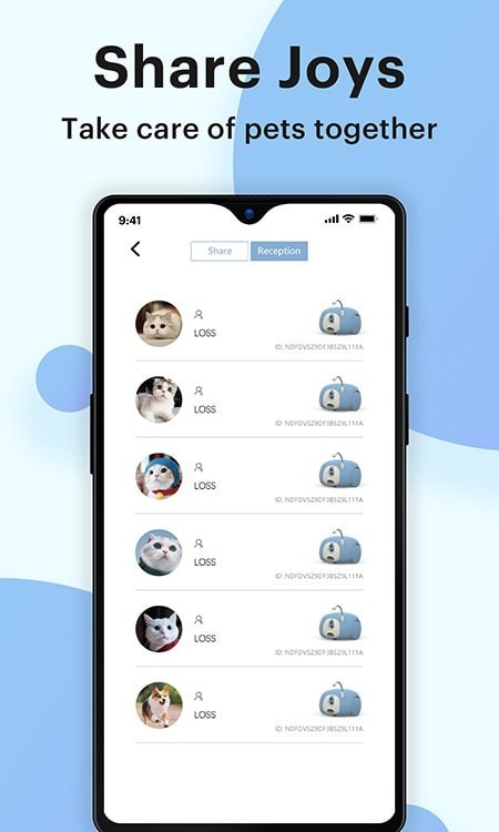 Pumpkii免费版图1