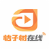 桔子树在线安卓版