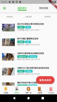 寻狗原版