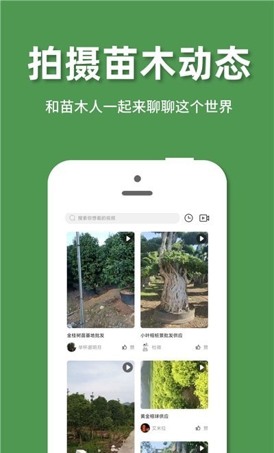 好苗木通用版