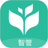 智管直装版