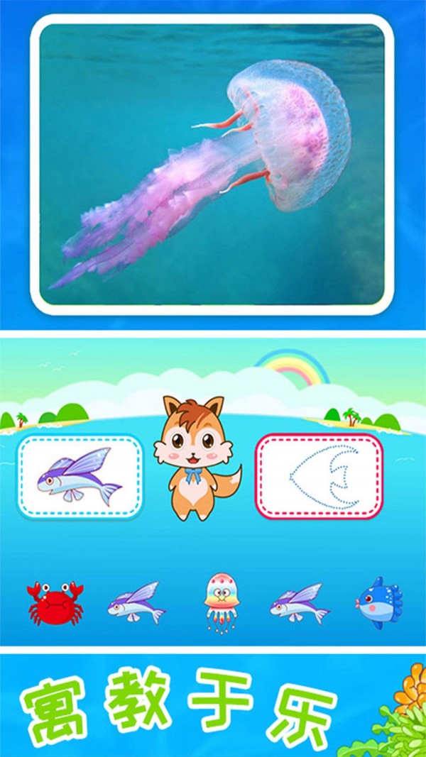 儿童宝宝海洋世界官方正版图2