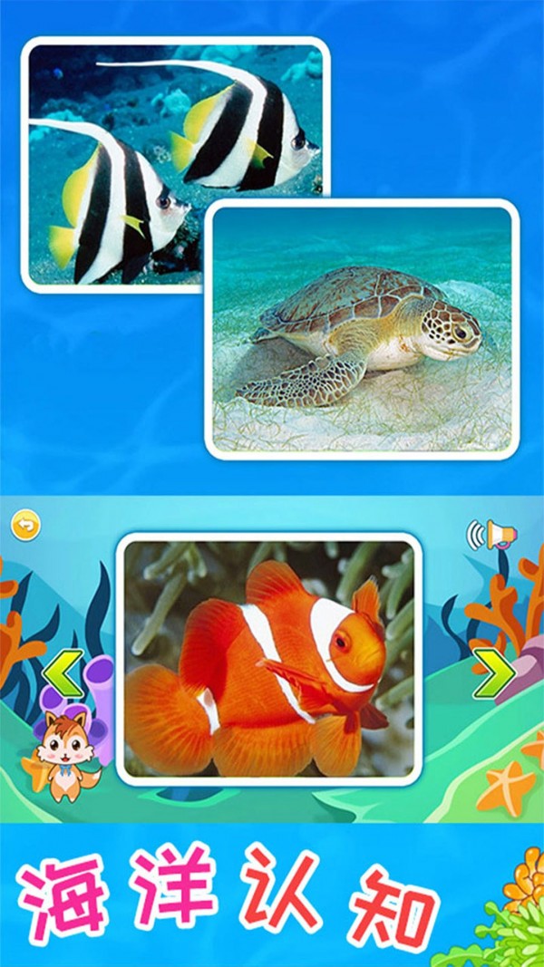 儿童宝宝海洋世界官方正版图3
