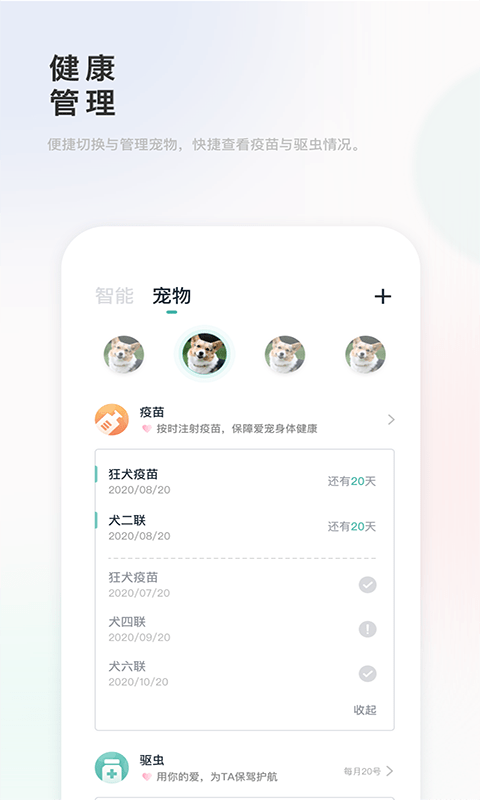滴宠生活手机正版